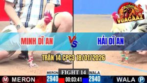 Trận 14 CPC3 18/01/2026