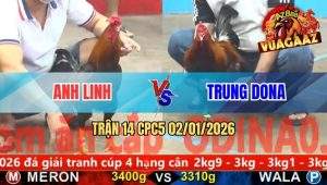 Trận 14 CPC5 02/01/2026