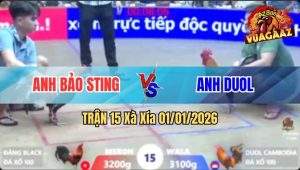 Trận 15 Xà Xía 01/01/2026