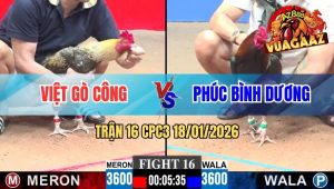 Trận 16 CPC3 18/01/2026