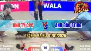 Trận 16 Xà Xía 01/01/2026