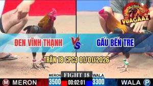 Trận 18 CPC3 01/01/2026