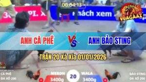 Trận 20 Xà Xía 01/01/2026