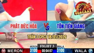 Trận 3 CPC3 18/01/2026
