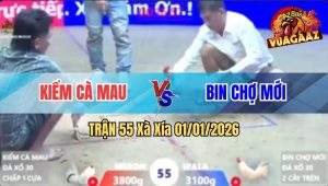 Trận 55 Xà Xía 01/01/2026