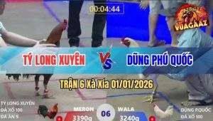 Trận 6 Xà Xía 01/01/2026