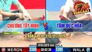 Trận 64 CPC3 15/01/2026