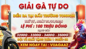 Giải Gà Tự Do Ngày 21/01/2025 Tại Bồ Gà Tonhon