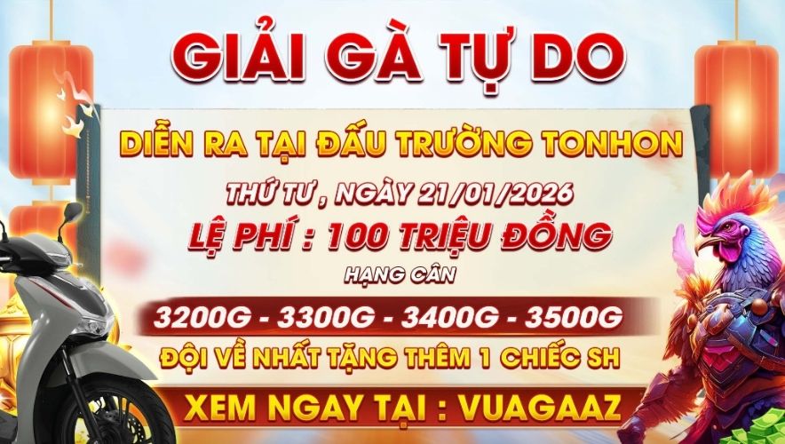 Giải Gà Tự Do Ngày 21/01/2025 Tại Bồ Gà Tonhon