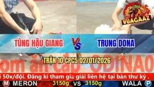 Trận 10 CPC5 02/01/2026