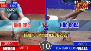 Trận 10 Dinh Bà 03/01/2026