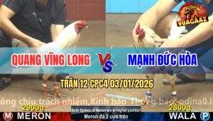 Trận 12 CPC4 03/01/2026