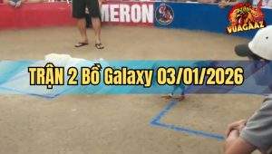 Trận 2 Galaxy 03/01/2026