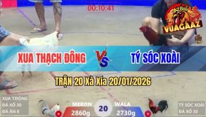 Trận 20 Xà Xía 20/01/2026