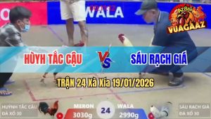 Trận 24 Xà Xía 19/01/2026