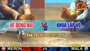 Trận 28 CPC4 03/01/2026