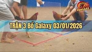 Trận 3 Galaxy 03/01/2026