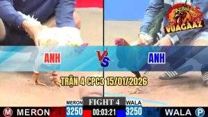 Trận 4 CPC3 15/01/2026