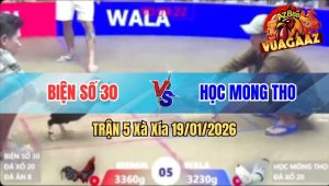 Trận 5 Xà Xía 19/01/2026