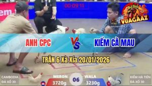 Trận 6 Xà Xía 20/01/2026