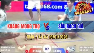 Trận 7 Xà Xía 19/01/2026