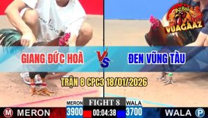 Trận 8 CPC3 18/01/2026