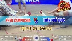 Trận 8 Xà Xía 20/01/2026