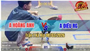 Trận 1 Bồ Xà Xía 8/3/2026 - Bướm Đá Chân Nghiệt Điều Lọt Cây Lưng Gồng Ói Không Qua