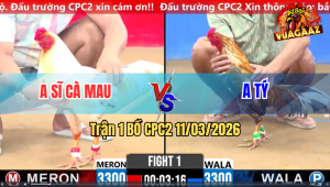 Trận 1 Bồ CPC2 11/3/2026 - Cú Siết Mấy Chân Đâm Bướm Ngã Tự Do Hết Cứu