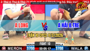 Trận 10 Bồ CPC2 4/3/2026 - Điều Cọp Đá Như Cây Đập 1 Tay Nước Lấy Tiền