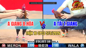 Trận 10 Bồ CPC3 5/3/2026 - Điều Xanh Đá Cây Cúp Cầu Dao Đâm Que Nghệ Té Lật Xe