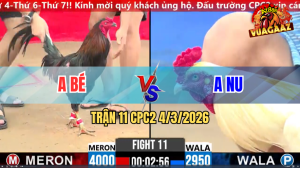 Trận 11 Bồ CPC2 4/3/2026 - Anh Nu Chấp Hơn 1 Ký Đá 4 Cây Đồng Vẫn Hạ Anh Bé
