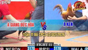 Trận 11 Bồ CPC3 12/3/2026 - Điều Đá Khét Cứng Mình Khét Đá Lại Điều Cây Té