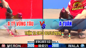 Trận 12 CPC3 03/3/2026 - Đỏ Đá Xanh Ói Xỉu Xanh Gồng Đá Lại Phản Ăn 1
