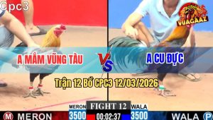 Trận 12 Bồ CPC3 12/3/2026 - Chuối Chà Mấy Chân Đâm Điều Gãy Cổ