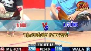 Trận 13 Bồ CPC3 12/3/2026 - Điều Đá Siết 1 Tay Nước Đâm Đỏ Lật Xe