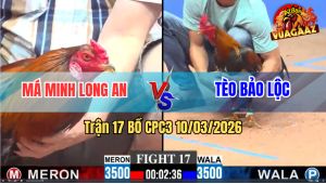 Trận 17 Bồ CPC3 10/3/2026 - Đỏ Đá Xanh Muốn Banh Hết Xanh Đá Lại Phản Chân Đỏ Té