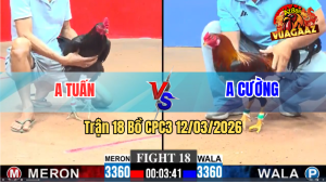 Trận 18 Bồ CPC3 12/3/2026 - Xanh Que Đá Chân Nào Cũng Đâm Điều Xỉu Tuyệt Đối