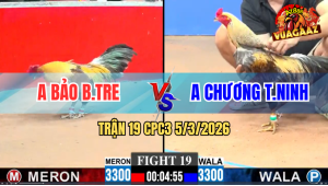 Trận 19 Bồ CPC3 5/3/2026 - Chuối Đâm Như Giang hồ Về Bờ Sau 3 Nốt Nhạc