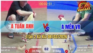 Trận 2 Bồ Xà Xía 8/3/2026 - Úa Anh Mễn Bình Tĩnh Ra Chân Quyết Đoán Bướm Nằm Xòe Đuôi