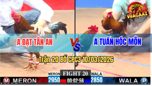 Trận 20 Bồ CPC3 10/3/2026 - Phèn Đá Chân Nào Cũng Đâm Điều Liệt Toàn Thân Rinh Ra