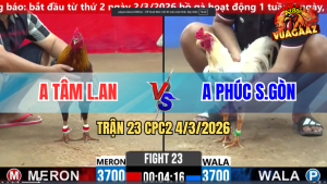 Trận 23 Bồ CPC2 4/3/2026 - Bướm Đá Điều Mấy Chân Muốn Hư Điều Đá Lịa Cậy Lọt Xỉu