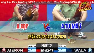 Trận 24 Bồ CPC2 4/3/2026 - Đỏ Đá Chân Nòa Cũng Đâm Xanh Hư Toàn Tập Rinh Ra Ngoài