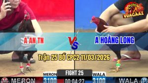 Trận 25 Bồ CPC2 11/3/2026 - Ô Chân Chì Đá Cây Lưng Đâm Xanh Xỉu Trên Tay