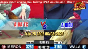 Trận 25 Bồ CPC2 6/3/2026 - Điều Siết Mấy Chân Đâm Bướm Tốc Chạy Bất Ngờ