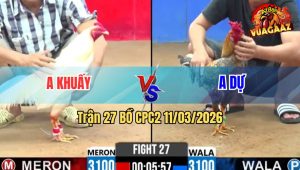 Trận 27 Bồ CPC2 11/3/2026 - Cú Nhanh Nhẹn Đâm Úa Cứng Mình Chạy La Miệng