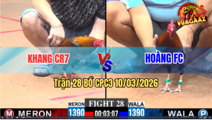 Trận 28 Bồ CPC3 10/3/2026 - Gà Xanh Đi Bộ Cũng Đâm Đỏ Cứng Mình Chạy Sau Mấy Đá