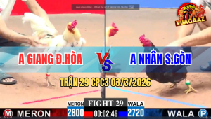 Trận 29 CPC3 03/3/2026 - Bướm Có Chân Phản Phút Cuối Đâm Điều Ói Chết Bất Ngờ