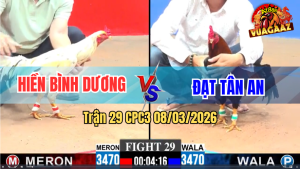 Trận 29 CPC3 8/3/2026 - Điều Đá Như Xe Đung Siết 1 Tay Nước Về Bờ