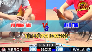 Trận 3 Bồ CPC3 12/3/2026 - Điều Vàng Đá 1 Cặp Ngực Xanh Sụm Tỳ Thua Nhanh Gọn